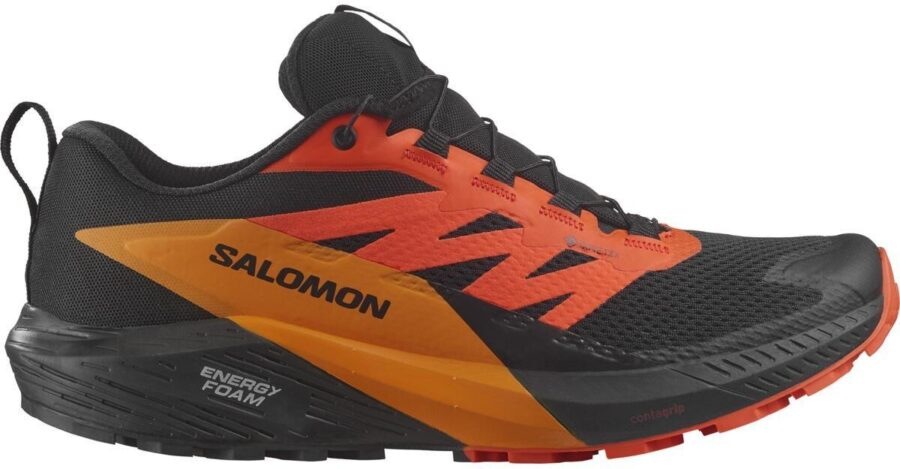 Salomon Sense Ride 5 Gtx 42