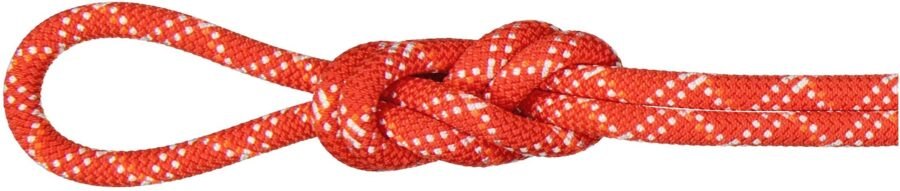 Mammut 9.5 Gym Classic Rope