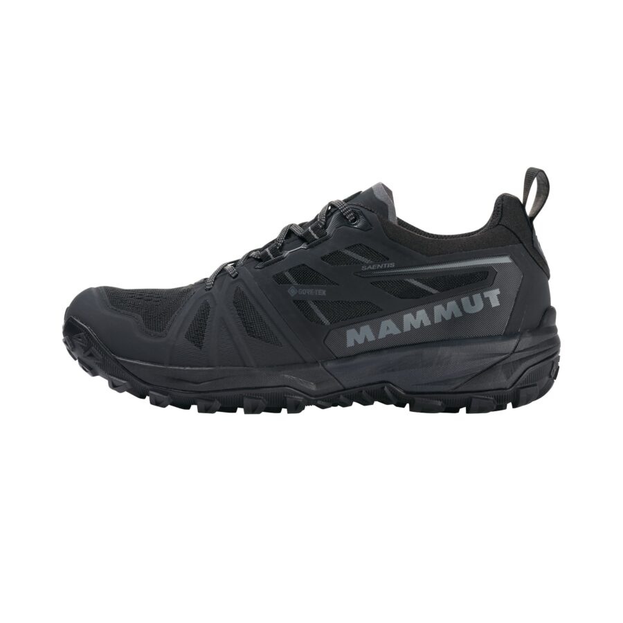 Mammut Saentis Low GTX Women 38