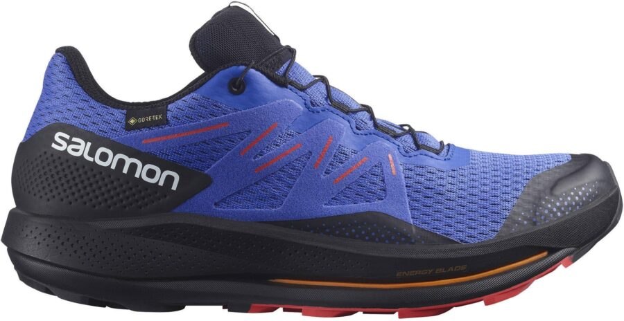 Salomon Pulsar Trail Gtx 43 1/3