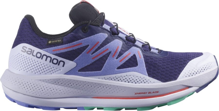 Salomon Pulsar Trail Gtx W 40